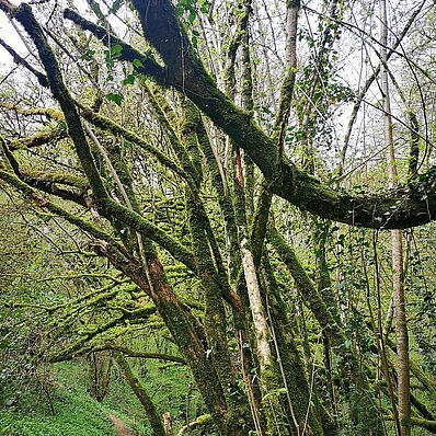 WANDERUNGEN & REISEN
